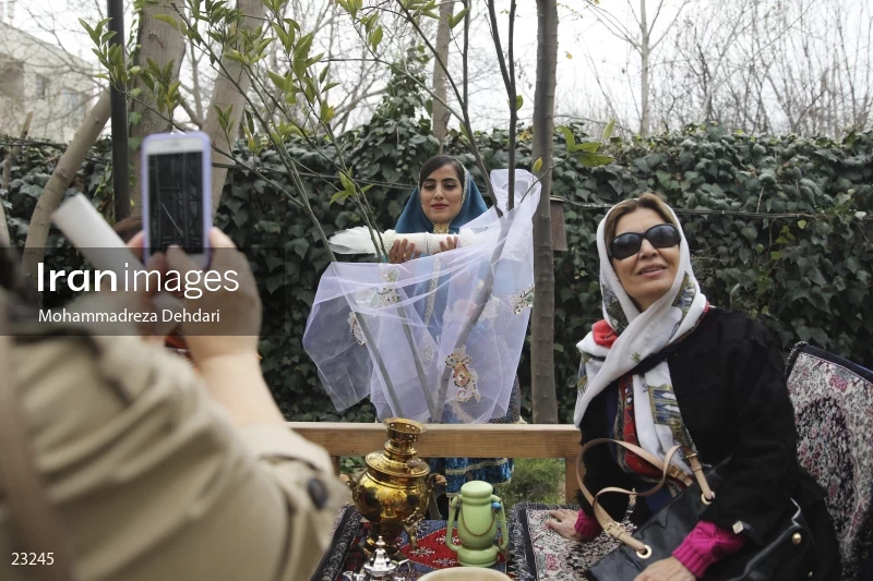 جشنواره های ایران - جشنواره عروسی درخت نارنج در شیراز