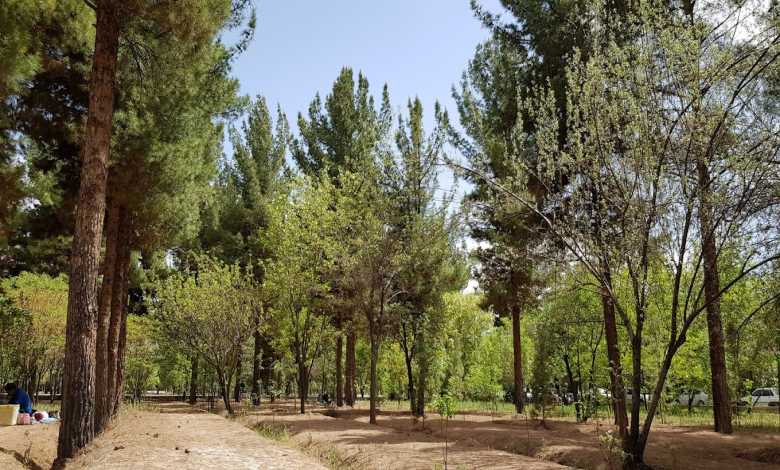 جاهای دیدنی کرمان- پارک جنگلی باهنر کرمان 
