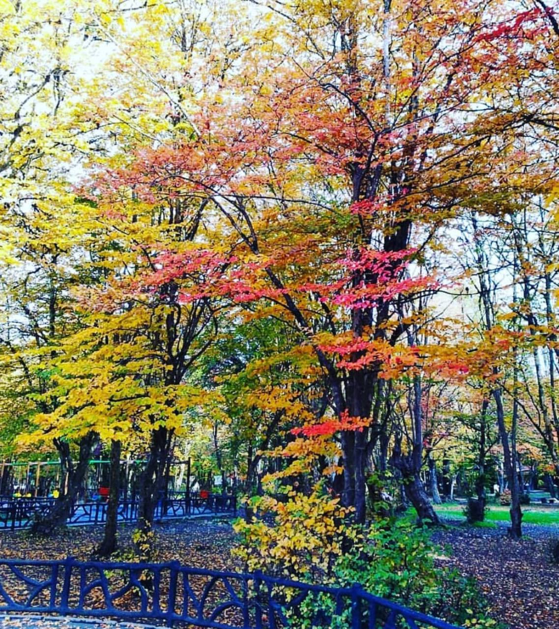 جاهای دیدنی در سفر در پاییز - پارک جنگلی النگدره