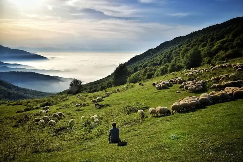 سفر در تابستان - دیلمان
